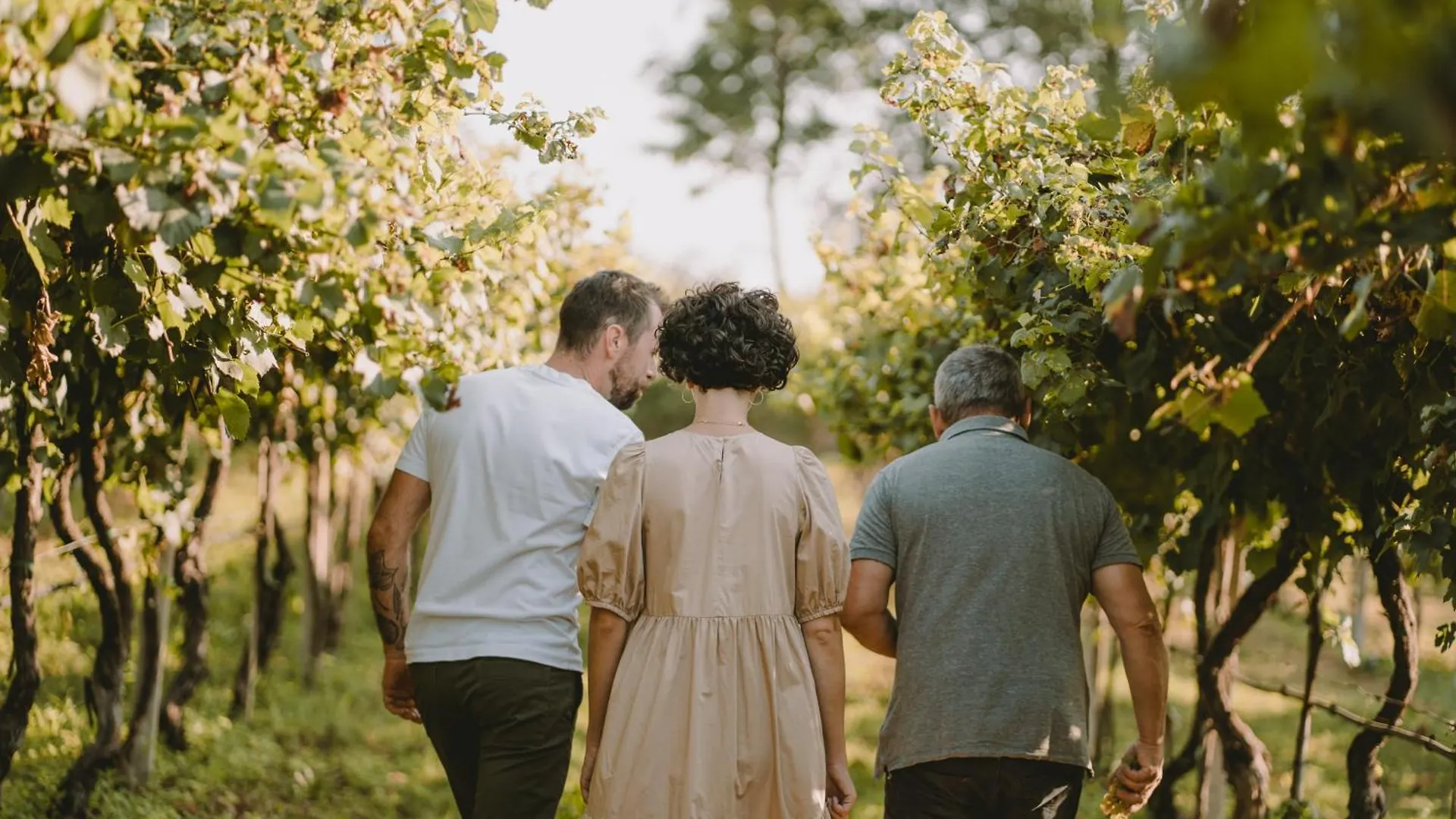 Agriturismo Corte Pravecchio Valeggio sul Mincio Itálie